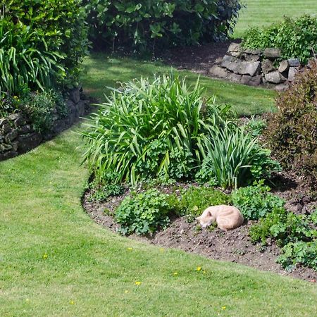 Tregaddra Farm B&B Helston Zewnętrze zdjęcie