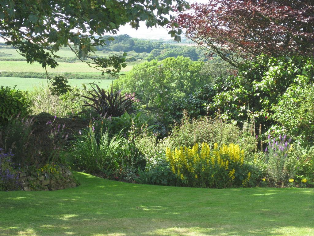 Tregaddra Farm B&B Helston Zewnętrze zdjęcie